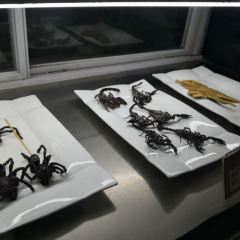 小宋城張用戶圖片