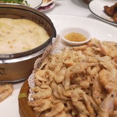 Jin Cai Collection User Photo