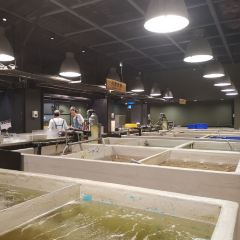 Addiction Aquatic Development User Photo