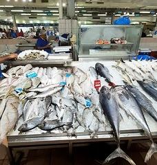 Fishmarket張用戶圖片