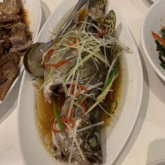 Yam'Tcha張用戶圖片