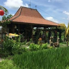 Sweet Orange Warung User Photo