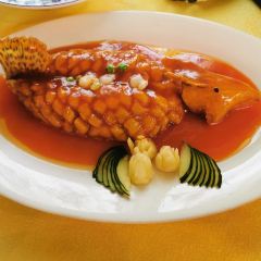 MaXiangXing CaiGuan User Photo