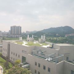 晉江佰翔世紀酒店中餐廳張用戶圖片