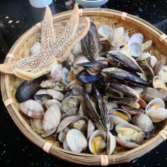 Zhengdehen'aini (haowanjia) User Photo