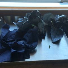 Sliders張用戶圖片