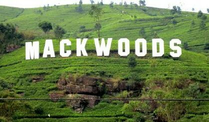 Mackwoods Tea