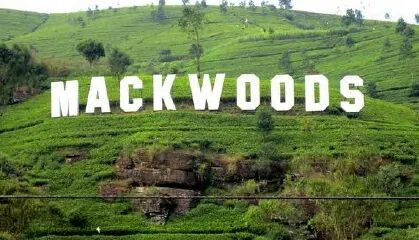 Mackwoods Tea