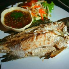 Jasmin Restaurant User Photo