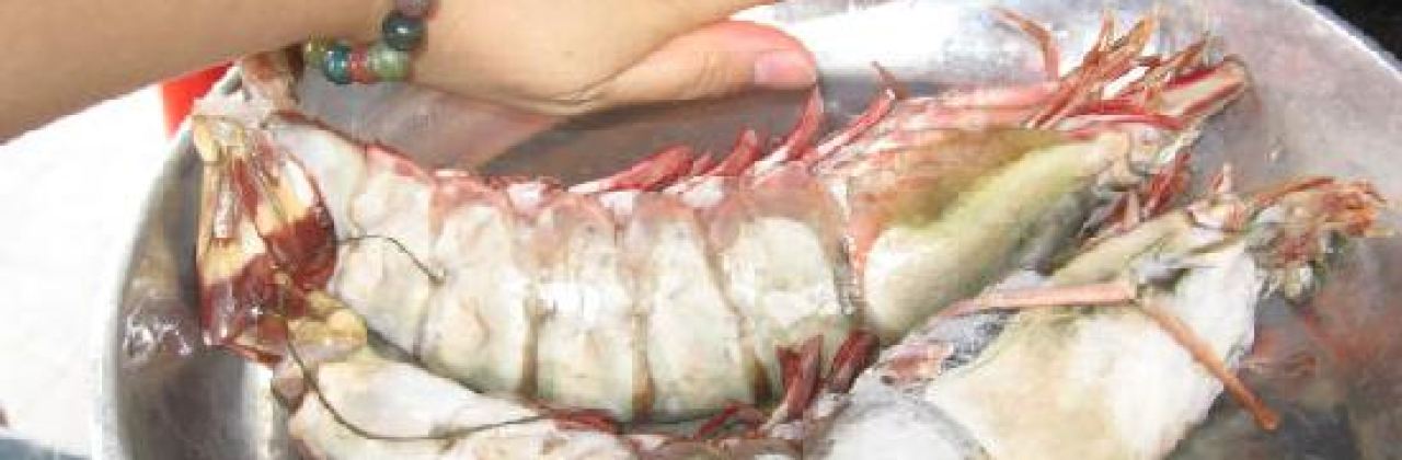 Chinese Kung Fu Restaurant