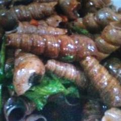 Bulaoweng Barbecue (renminlu) User Photo