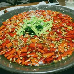 MEILE 여행 사진