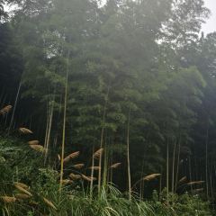 霍山老农民土菜农家乐 User Photo