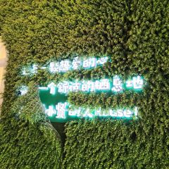 Yang Xiao Xian ( Zhongshan Road Dian) User Photo