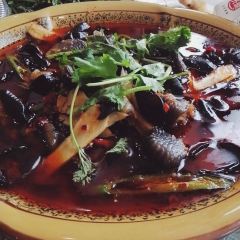 三毛魚莊張用戶圖片