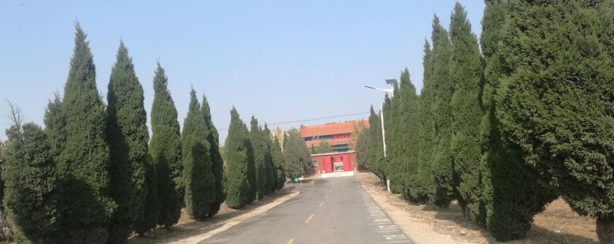 Qingshan Xiushui Tourism Resort