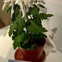 绿野仙踪生态农业园 User Photo