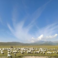 白公羊烤肉拉麵館張用戶圖片