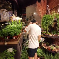 Addiction Aquatic Development User Photo