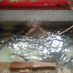 俊家鐵鍋燉魚(丹東店)張用戶圖片