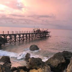 KISIK Seafood & Grill User Photo