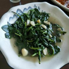 ZHE LIN YAO SHI YU GUAN SHI SU DIAN User Photo