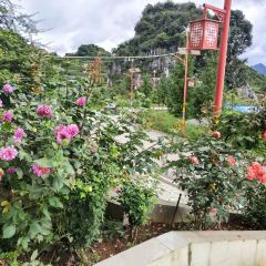 回頭客羊肉館張用戶圖片