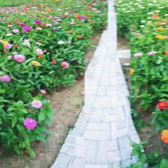 云里居 User Photo