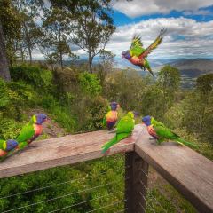 The Polish Club Milton User Photo