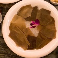 TUNZHONGLAO User Photo