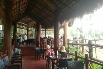 Giraffe restaurant User Photo
