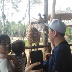 Giraffe restaurant User Photo