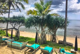 Thai Library User Photo