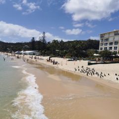 Fire & Stone Beach Front Restaurant Tangalooma 여행 사진