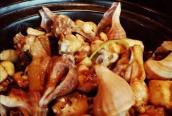 CHINA LODGE User Photo