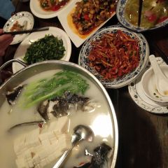 Qinglu User Photo