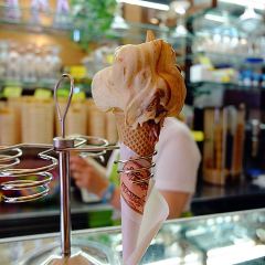 Gelateria Dondoli張用戶圖片