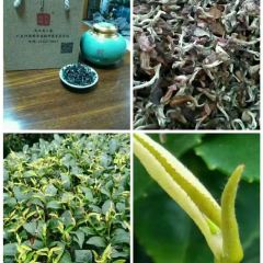 国香茶艺 User Photo