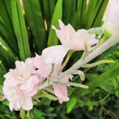 Restaurant Lasserre張用戶圖片