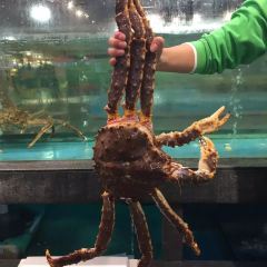 La Taverna dei Monti User Photo