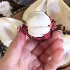 Durian Durian User Photo