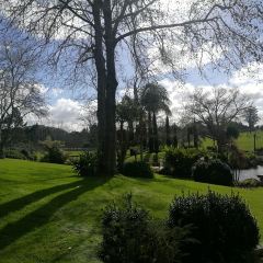 Marsden Estate Winery User Photo