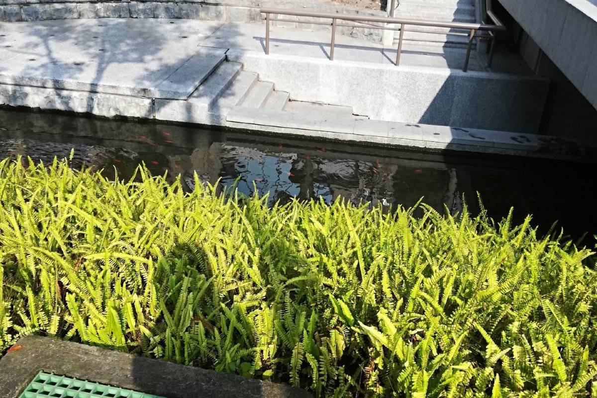 台中新盛綠川水岸廊道。圖片來源:Trip.com