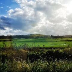 The Crafty Baa Windermere User Photo