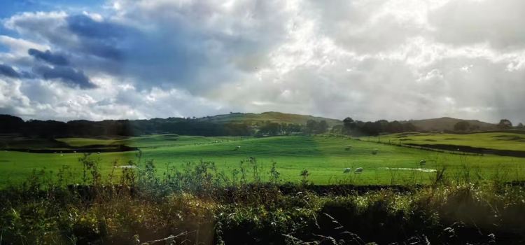 The Crafty Baa Windermere