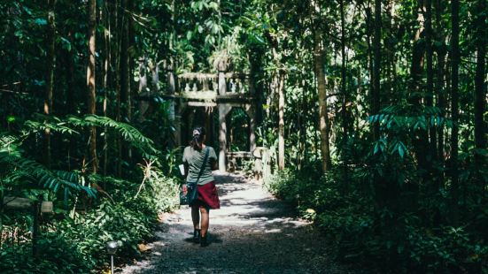 凯恩斯的帕罗尼拉公园位于热带雨林之中，是一处有着100多年历