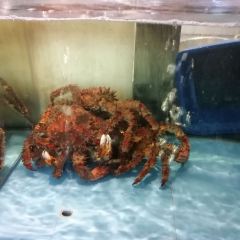 丽贝蒸鲜工坊 User Photo