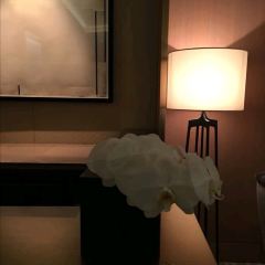 Continental User Photo