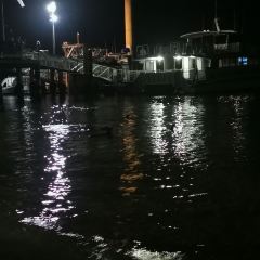 Fire & Stone Beach Front Restaurant Tangalooma 여행 사진