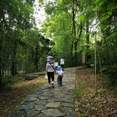 葉老大陽朗辣子雞集中營店張用戶圖片